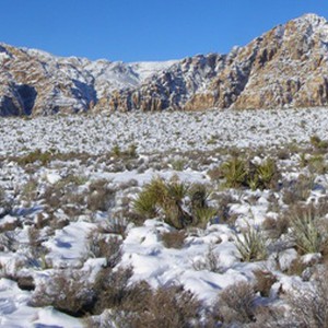 الثلوج إلى أجزاء واسعة من سوريا نهاية الأسبوع !  