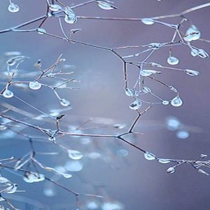 صقيع متوقع في المناطق الشمالية خلال الليالي المقبلة