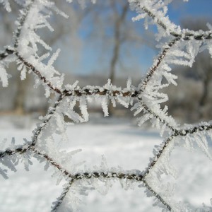 موجة باردة متوقعة على السعودية نهار الاثنين