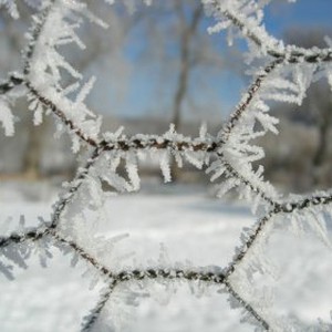 موجة باردة قوية يتوقع ان تؤثر على شمال غرب المملكة الخميس
