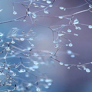 صقيع متوقع في المناطق الشمالية ليلة الأربعاء وفجر الخميس