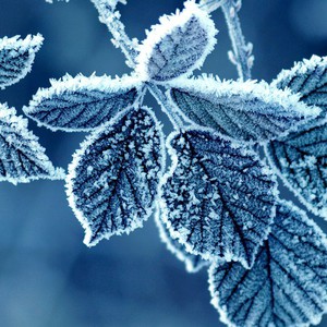 السعودية | محافظة طريف تسجل أدنى حرارة في المملكة خلال الـ 30 عاماً الماضية