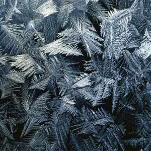 استمرار الأجواء الباردة ليلة السبت - الأحد   