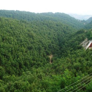 درجات الحرارة الأربعينية تعود الى أجزاء من البلاد يومي الأحد والاثنين .. ماهي تلك المناطق؟ 