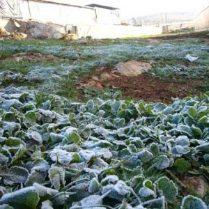 هذه الليلة انخفاض كبير على درجات الحرارة في دمشق بالمُقارنة مع الأمس