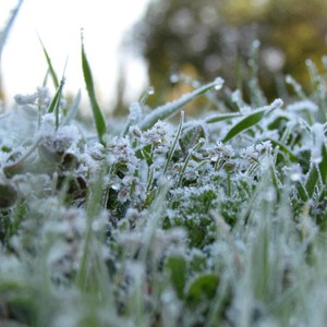 اشتداد البرودة الليلة القادمة وتحذيرات من تشكل الصقيع