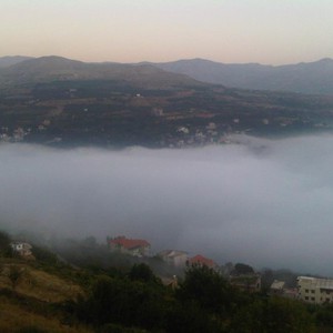 هام : الضباب يشتد خلال الثلاثة ليالي القادمة ويشمل مناطق واسعة جداً من البلاد