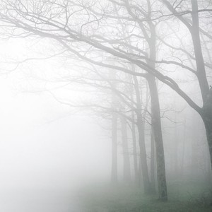 إدارة السير تحذر من الضباب في ثغرة عصفور وباب الهوى