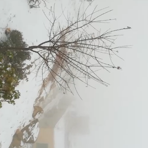 بث مُباشر | مشاهد للأجواء الضبابية والتراكمات الثلجية في الطيبة الجنوبية