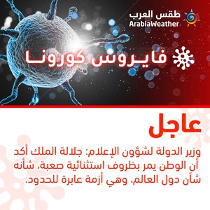 العضايلة: جلالة الملك أكد أن الوطن يمر بظروف استثنائية صعبة