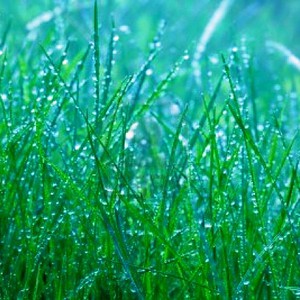 حالة من عدم الاستقرار الجوي عصر يوم الثلاثاء