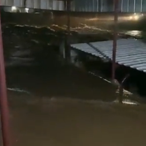 Video | Rain floods homes in Suwaiq, and citizens on rooftops are calling for help via Twitter!