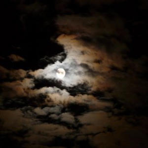 أجواء غائمة جزئياً الى غائمة في قطاع غزة صباح يوم الأحد واحتمال زخات من المطر