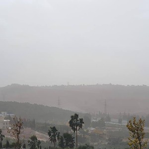 Palestine New `Khamasini` as of Tuesday