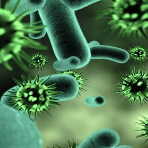 Is it possible for the Corona virus to disappear in the summer?