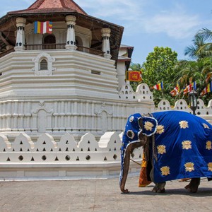 كاندي.. أروع وجهات السياحة في سريلانكا.. فأين تذهب؟
