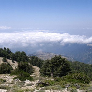 تعرّف على أجواء لبنان خلال الأيام القليلة القادمة ..