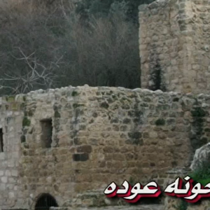 فيديو | وادي الريان موقع المعلقة وعراق الدب في لواء الكورة 