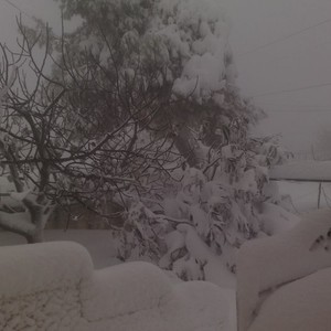 ماذا بعد انحسار العاصفة الثلجية عن فلسطين ؟