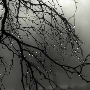 تعرف على كميات الأمطار الهاطلة في سوريا خلال ال24 ساعة الماضية