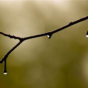 اليوم فرصة لأمطار صيفية في القلمون وأجزاء من شمال ووسط البلاد فماذا عن اليومين القادمين ؟