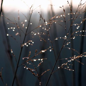 ازدياد المؤشرات حول المُنخفض الجوي المُبكر المتوقع نهاية الشهر