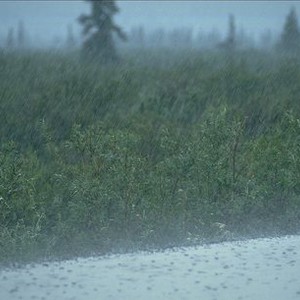 الأحد : ثاني أيام حالة عدم الاستقرار الجوي