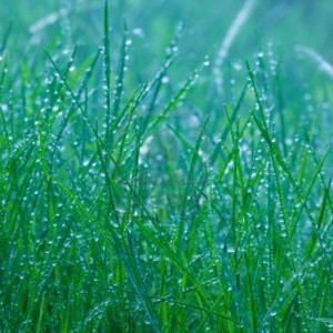 لبنان : أمطار متفرقة يومي الأربعاء والخميس قد تصبح شاملة نهاية الأسبوع