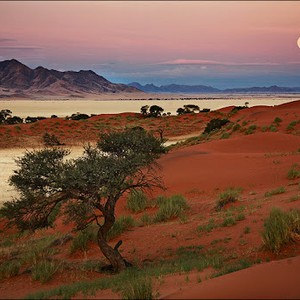 السعودية | طقس مستقر ومناسب للرحلات والكشتات خلال عطلة نهاية الأسبوع