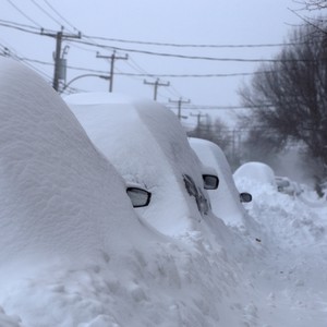 الأردن | هل تُعتبر موجة البرد الحالية هي الأكثر برودة عبر التاريخ الحديث؟ .. طقس العرب يجيب