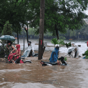 عاصفة "أوساجي" تتسبب بضحايا وأضرار فادحة في فيتنام 