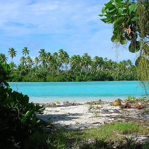 رجل يطلب اللجوء إلى نيوزيلاندا ، والأسباب مناخية !