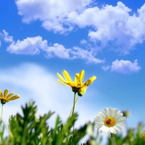 أجواء انتظرها الكثيرون .. شاهد الحالة الجوية المُتوقعة اعتباراً من الأحد 