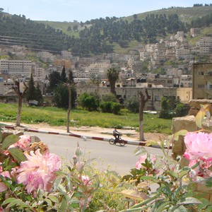 الأحد استمرار الأجواء الأكثر برودة من المُعتاد ..