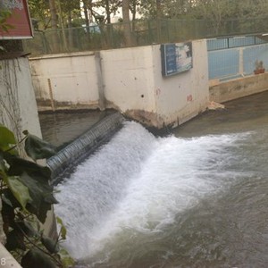 نبع الفيجة في هذا الموسم هو الأغزر منذ 90 عاماً !