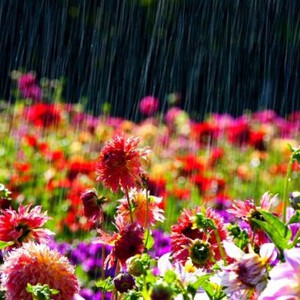 النشرة الشهرية لشهر نيسان الخاصة بسوريا