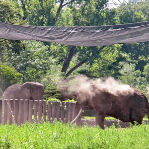 أفضل حدائق حيوانات على مستوى العالم 