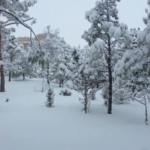 الثلاثاء : أجواء قارسة البرودة في سوريا ، واحتمال لبعض الثلوج ..