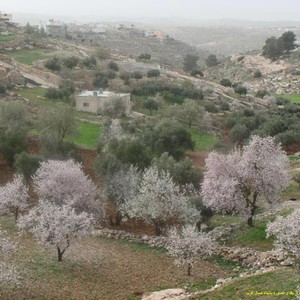 الاثنين : أجواء دافئة جداً نهاراً والأجواء تتغير مع ساعات المساء والليل 