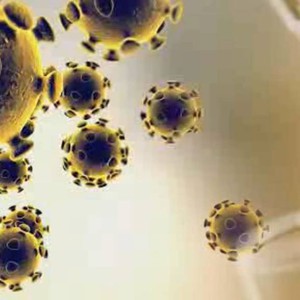 معلومات عامة عن كورونا وكيفة نتجنب الإصابة به ؟