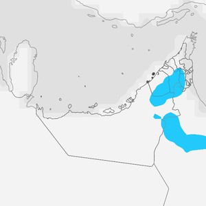 عُمان والإمارات: تجدد السحب الرعدية لتشمل هذه المناطق خلال الساعات القادمة