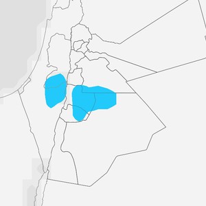 فرصة زخات محلية من المطر هذه الليلة، وإستقرار الطقس حتى نهاية الأسبوع
