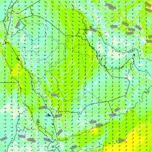 السعودية | زخات أمطار رعدية في جنوب غرب المملكة بالتزامن مع وصول كميات من الغبار