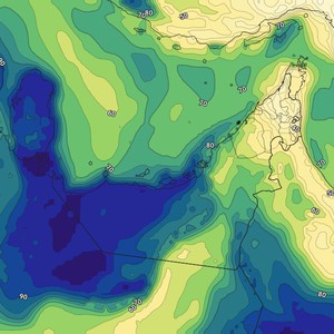 الإمارات | استمرار فرص تشكل الضباب في بعض المناطق خلال الايام القادمة