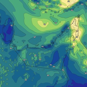 Emirates - The National Center | An opportunity for fog to form over some internal and coastal areas in the coming days