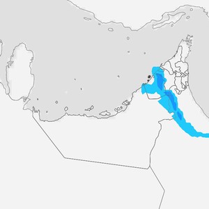الإمارات | تقلبات جوية وفُرص لهطول الأمطار في بعض المناطق الأيام القادمة 