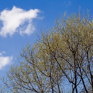 السبت.. ارتفاع طفيف على درجات الحرارة وأجواء خريفية مستقرة