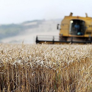 كازاخستان: الثلوج تطمر مواسم الحبوب ودرجات الحرارة متدنية