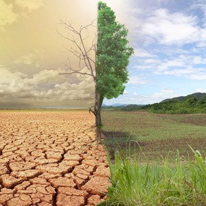 Climate change | July 2023 is the hottest in the history of climate records, and June 2024 records temperatures higher than normal globally.