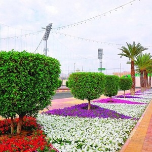 حالة الطقس ودرجات الحرارة المتوقعة في مدن السعودية ليوم الثلاثاء 9/7/2019م 